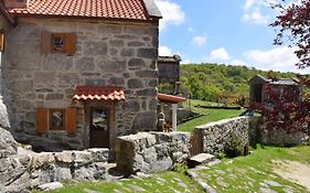 O Xardín Da Fraga